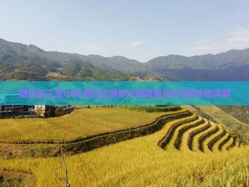 烟台去三亚小东海四日游
