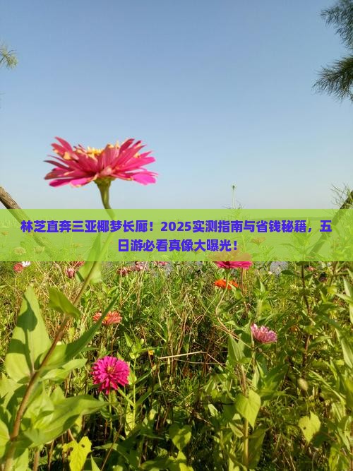 林芝去三亚椰梦长廊五日游