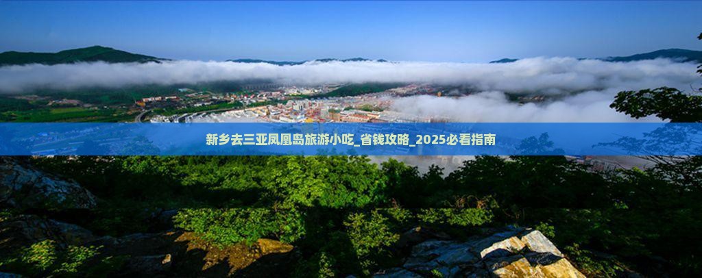 新乡去三亚凤凰岛旅游小吃