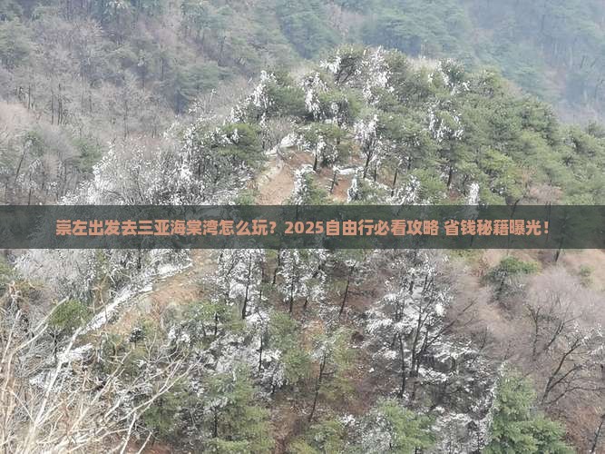 崇左去三亚海棠湾自由行