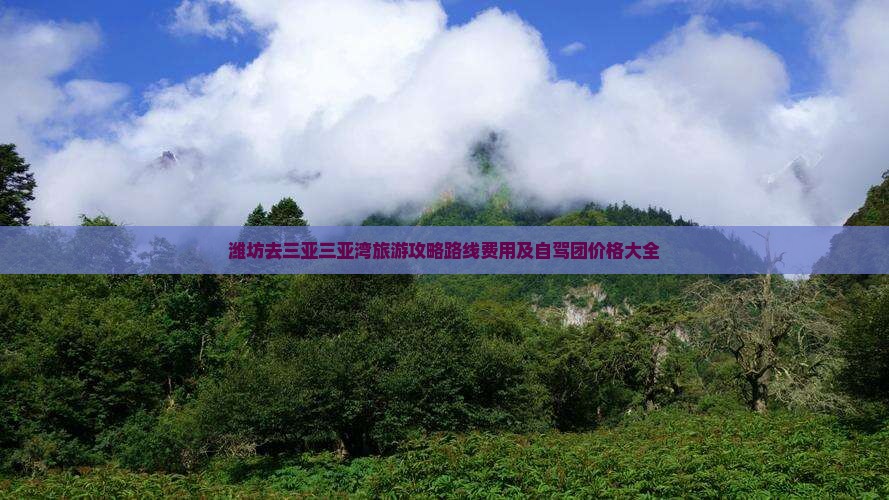 潍坊去三亚三亚湾旅游