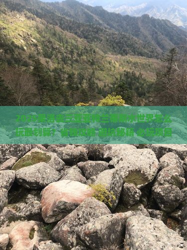 果洛前往三亚亚特兰蒂斯水世界必玩地