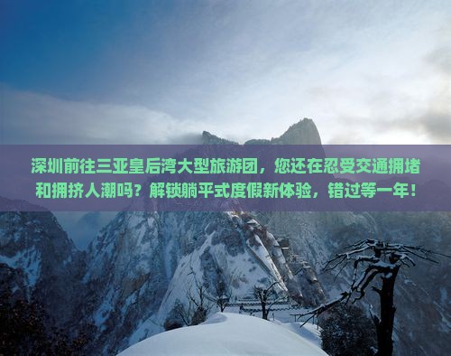 深圳前往三亚皇后湾大型旅游团