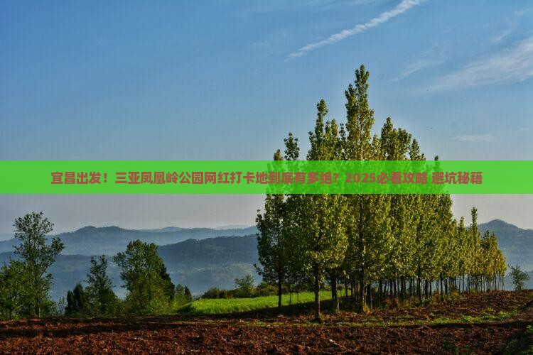 宜昌出发三亚凤凰岭公园旅游网红地点