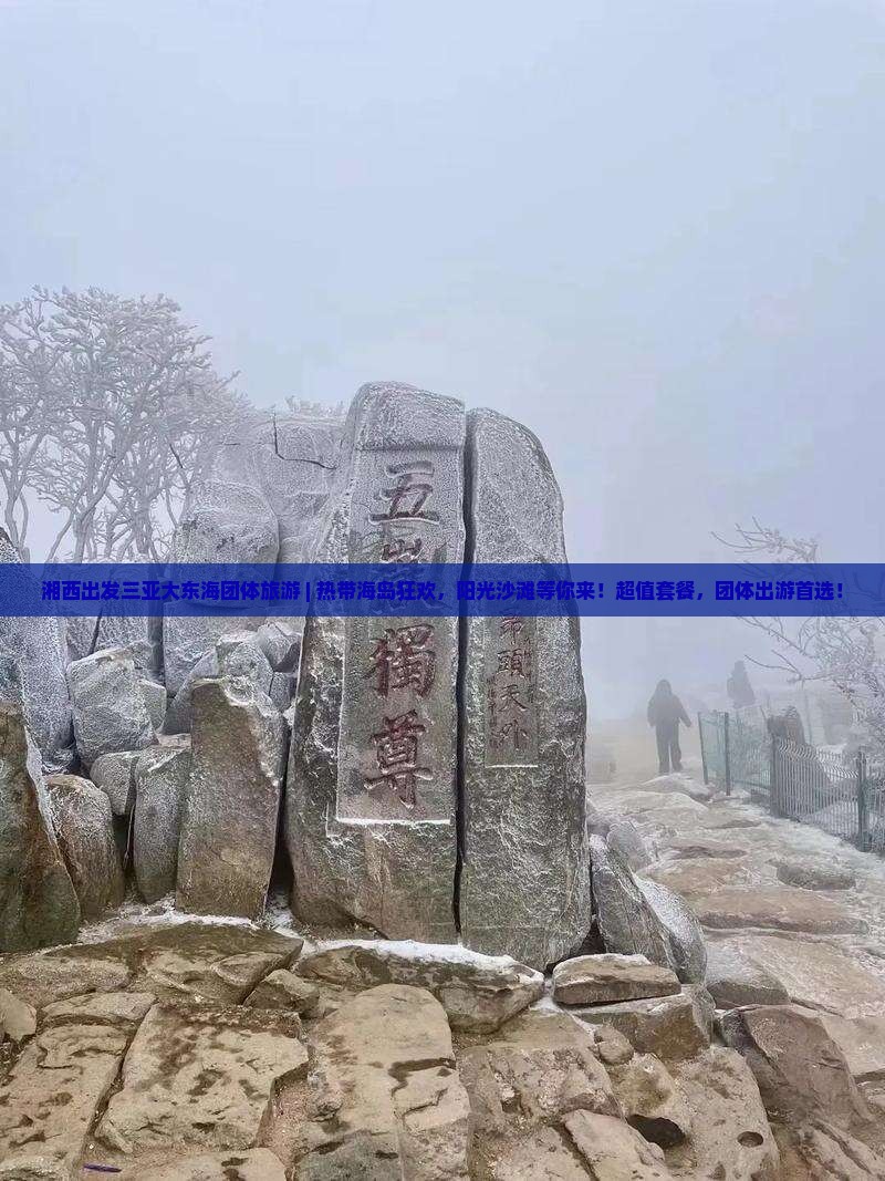 湘西出发三亚大东海团体旅游