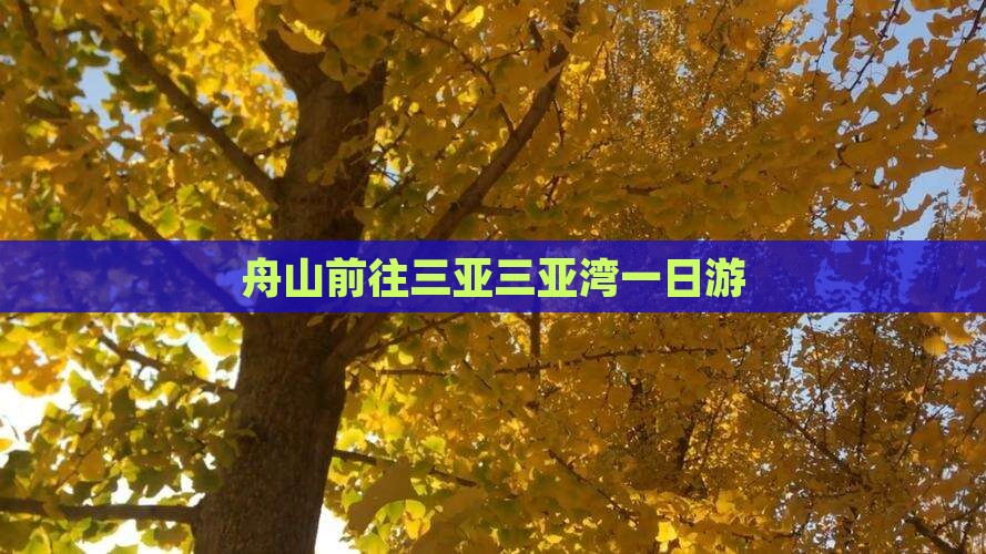 舟山前往三亚三亚湾一日游