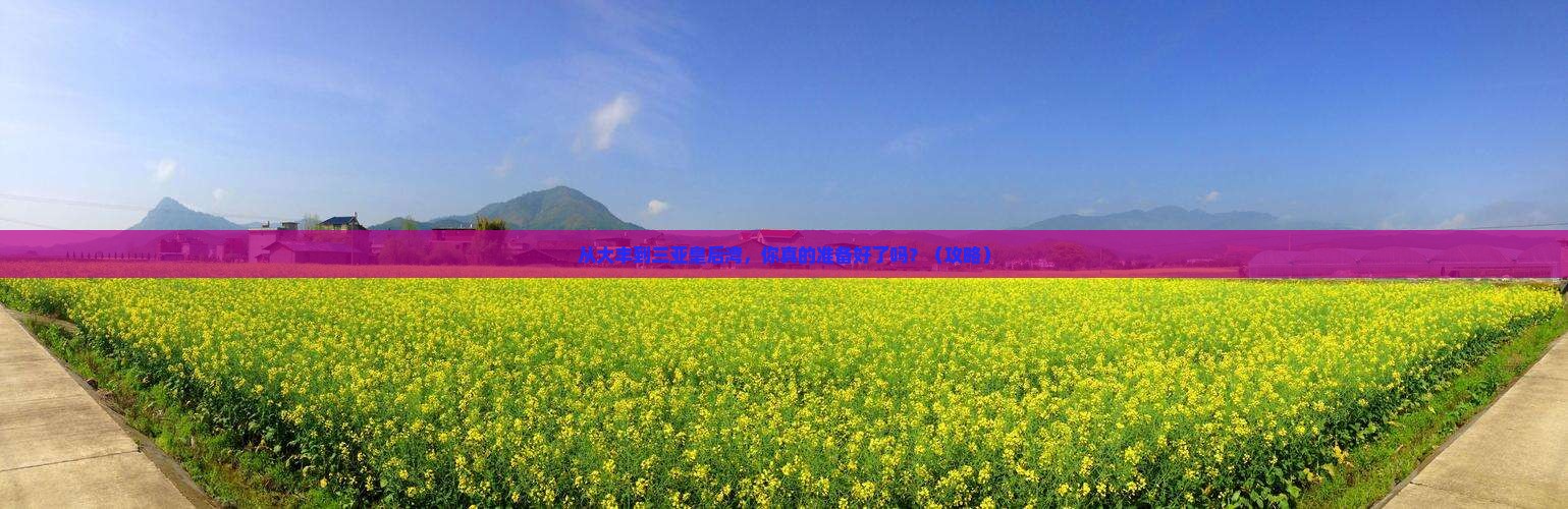 大丰前往三亚皇后湾个人游