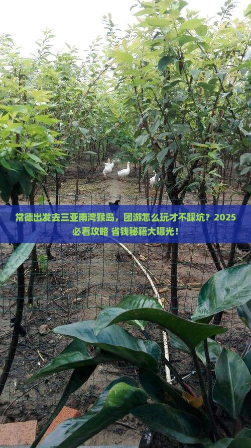 常德出发三亚南湾猴岛团体旅游