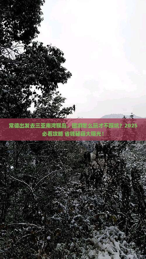 常德出发三亚南湾猴岛团体旅游