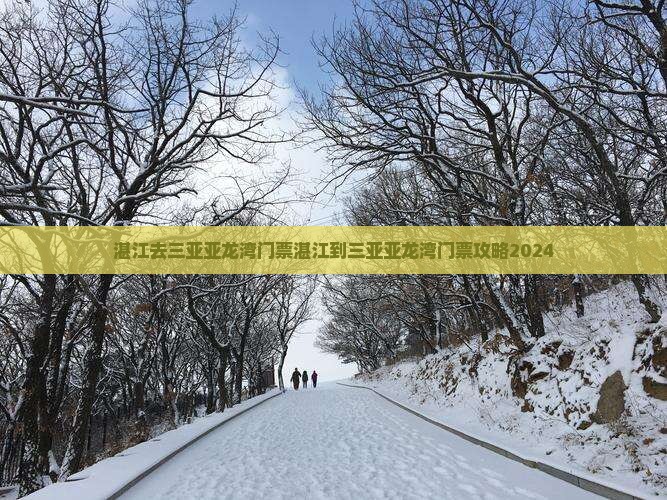 湛江去三亚亚龙湾门票