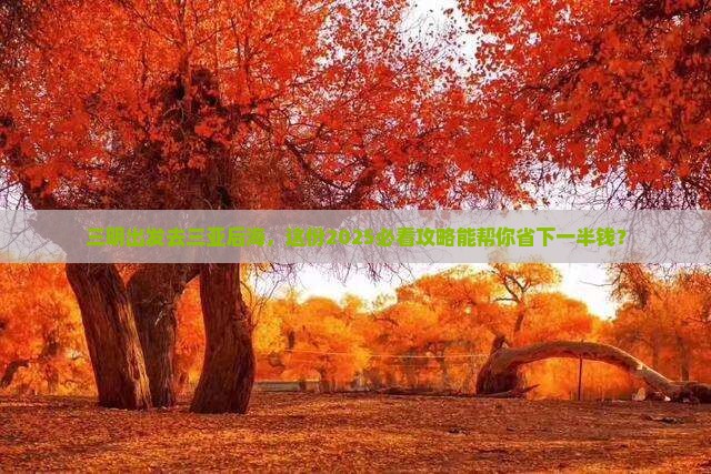 三明前往三亚后海团体旅游