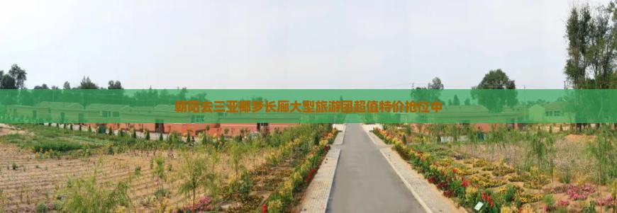 朝阳去三亚椰梦长廊大型旅游团
