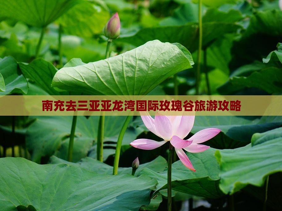南充去三亚亚龙湾国际玫瑰谷个人游