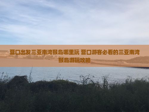 营口出发三亚南湾猴岛哪里玩