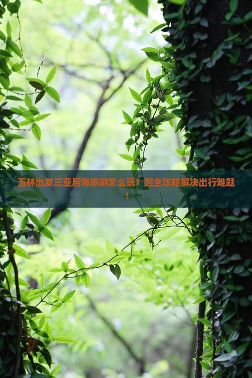 玉林出发三亚后海旅游
