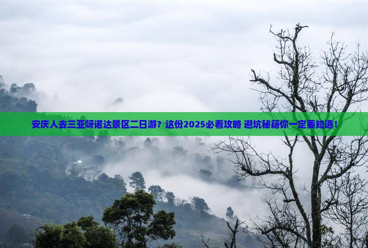 安庆去三亚呀诺达景区二日游