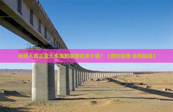 阿坝去三亚大东海门票
