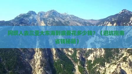 阿坝去三亚大东海门票