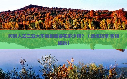 阿坝去三亚大东海门票
