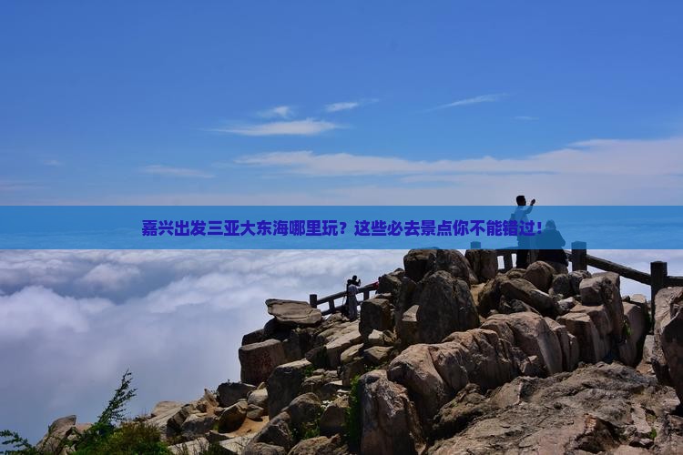 嘉兴出发三亚大东海哪里玩