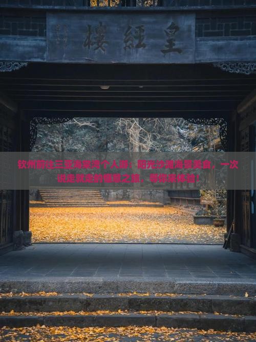 钦州前往三亚海棠湾个人游