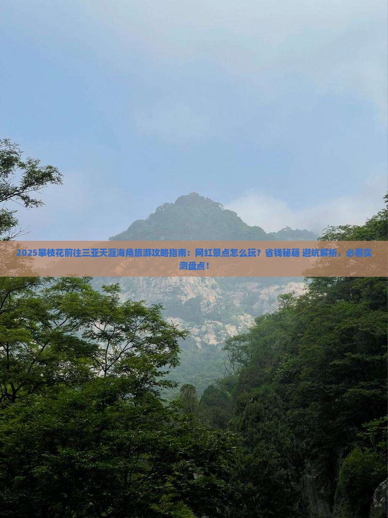 攀枝花前往三亚天涯海角旅游网红地点