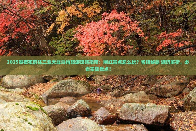 攀枝花前往三亚天涯海角旅游网红地点