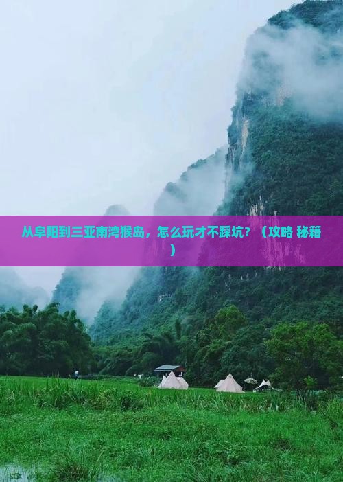 阜阳去三亚南湾猴岛旅游网红地点