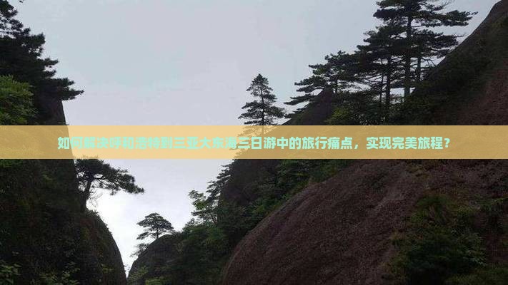 如何解决呼和浩特到三亚大东海三日游中的旅行痛点，实现完美旅程？