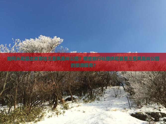 如何从和县出发前往三亚凤凰岭公园？哪些旅行社提供和县至三亚凤凰岭公园的旅游服务？