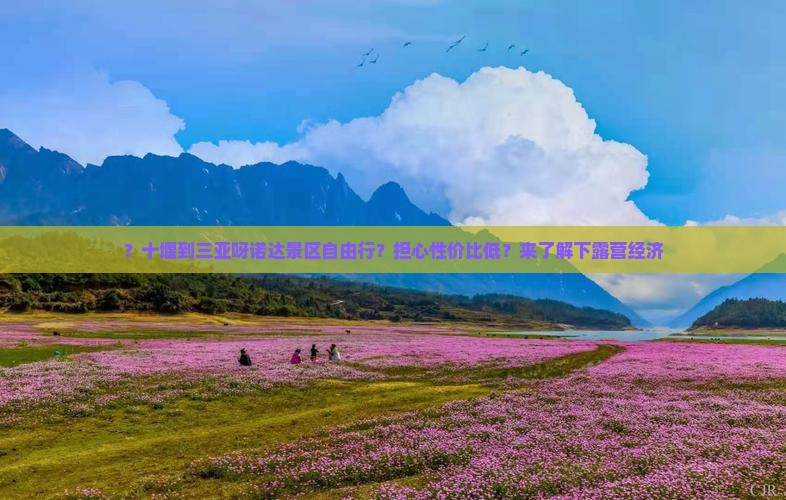 ？十堰到三亚呀诺达景区自由行？担心性价比低？来了解下露营经济