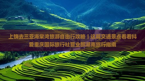 上饶去三亚海棠湾旅游自由行攻略｜这篇交通景点看看抖爱重庆国际旅行社营业部湖南旅行指南