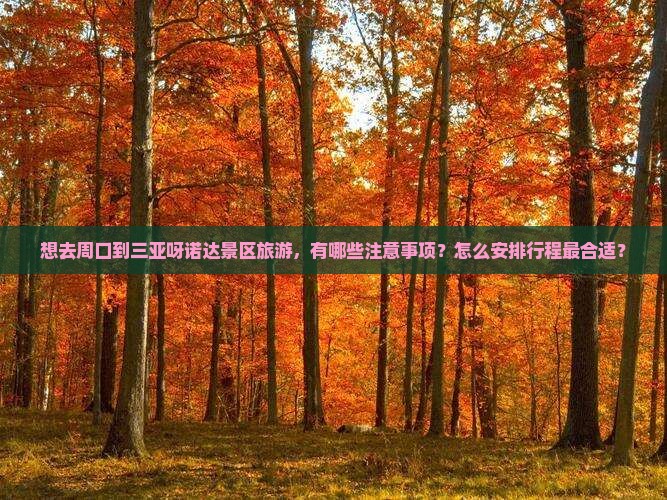 想去周口到三亚呀诺达景区旅游，有哪些注意事项？怎么安排行程最合适？