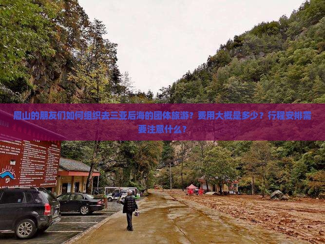 眉山的朋友们如何组织去三亚后海的团体旅游？费用大概是多少？行程安排需要注意什么？