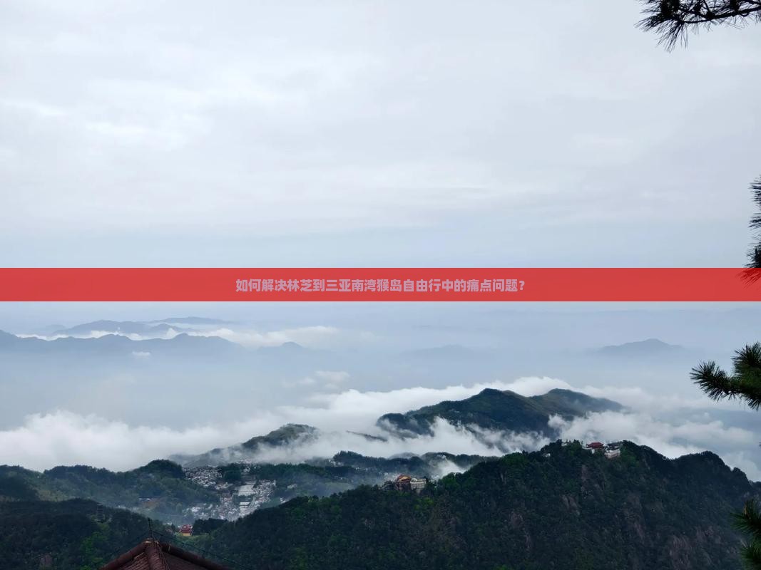如何解决林芝到三亚南湾猴岛自由行中的痛点问题？