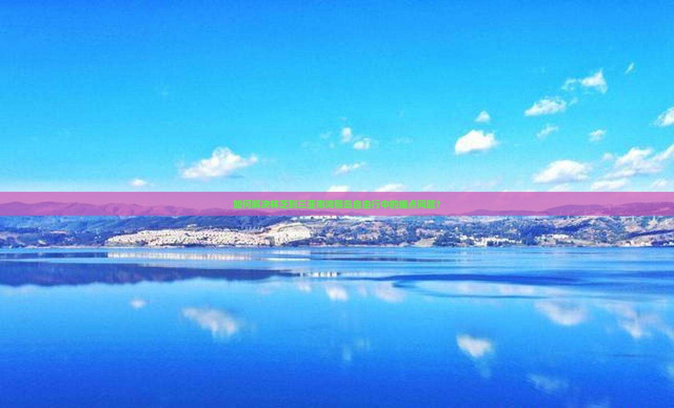 如何解决林芝到三亚南湾猴岛自由行中的痛点问题？