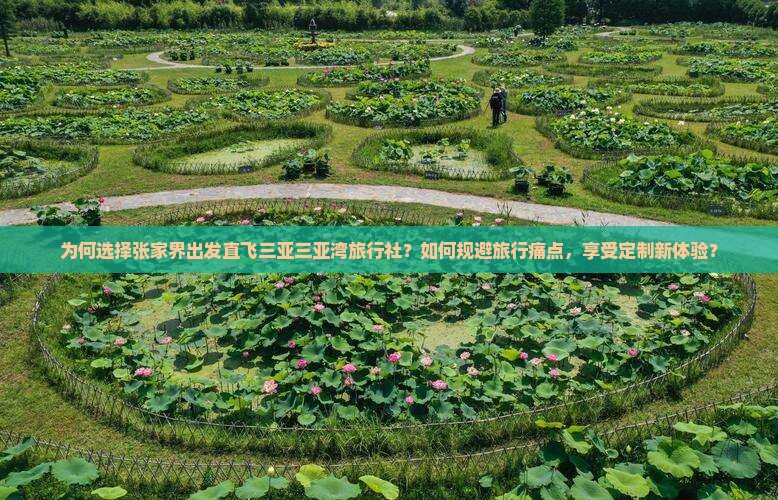 为何选择张家界出发直飞三亚三亚湾旅行社？如何规避旅行痛点，享受定制新体验？