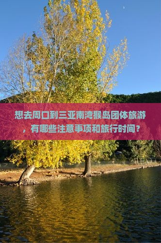 想去周口到三亚南湾猴岛团体旅游，有哪些注意事项和旅行时间？