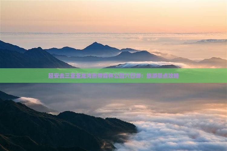 延安去三亚亚龙湾热带森林公园六日游：旅游景点攻略