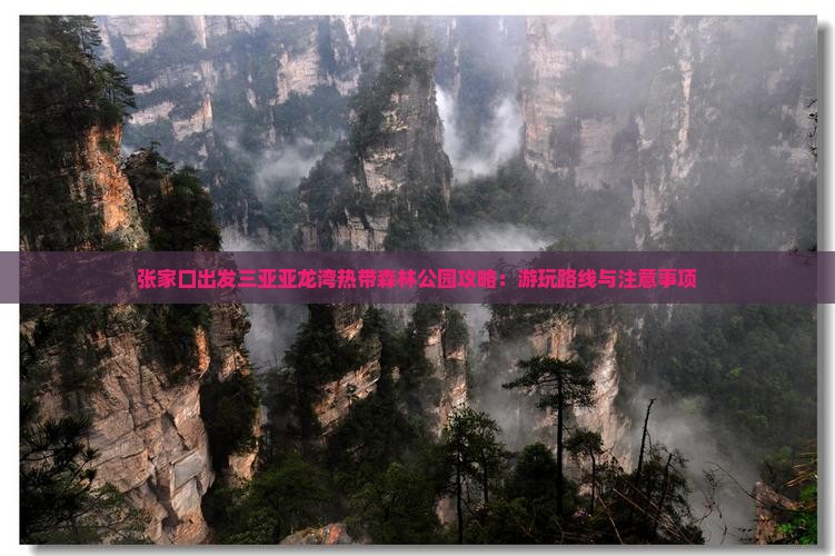 张家口出发三亚亚龙湾热带森林公园攻略：游玩路线与注意事项