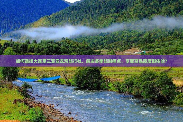 如何选择大连至三亚亚龙湾旅行社，解决冬季旅游痛点，享受高品质度假体验？