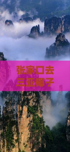 张家口去三亚椰子洲岛门票价格详情及费用