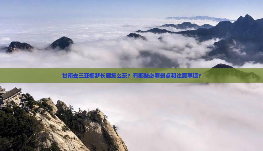 甘南去三亚椰梦长廊怎么玩？有哪些必看景点和注意事项？