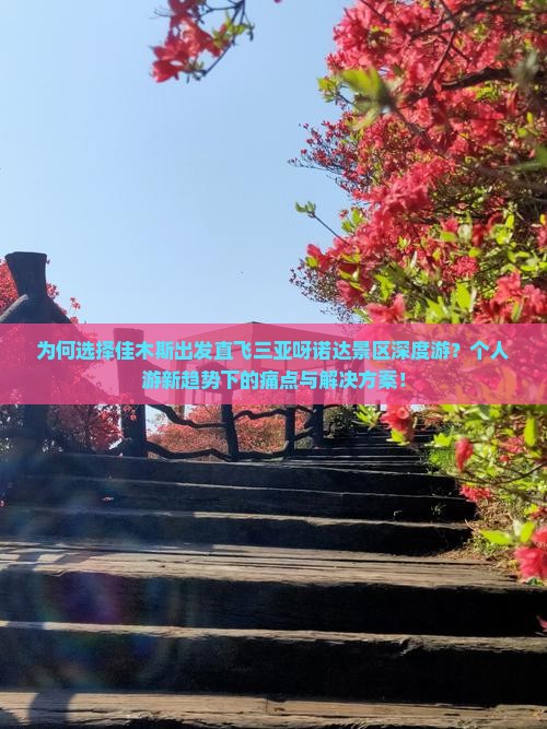为何选择佳木斯出发直飞三亚呀诺达景区深度游？个人游新趋势下的痛点与解决方案！