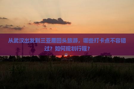 从武汉出发到三亚鹿回头旅游，哪些打卡点不容错过？如何规划行程？