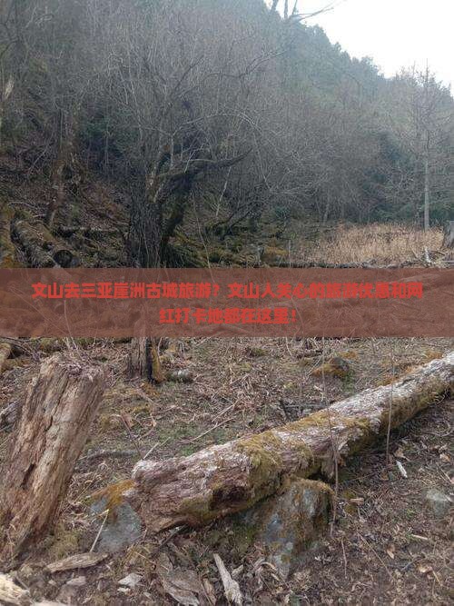 文山去三亚崖洲古城旅游？文山人关心的旅游优惠和网红打卡地都在这里！