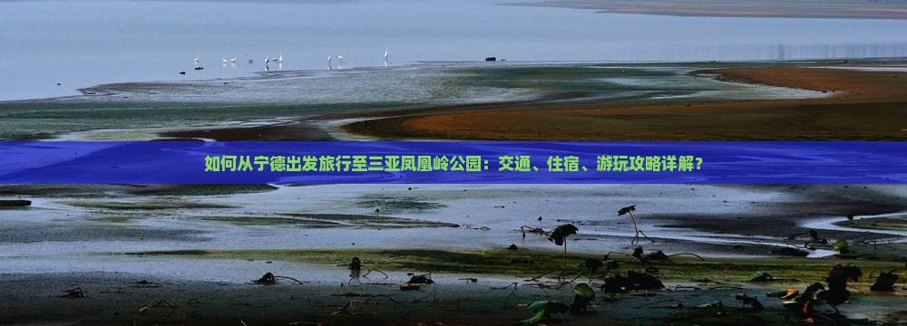 如何从宁德出发旅行至三亚凤凰岭公园：交通、住宿、游玩攻略详解？