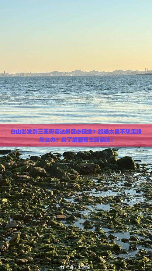 白山出发到三亚呀诺达景区必玩地？旅途太累不想走路怎么办？来了解露营车新潮流！
