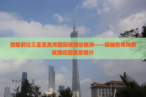 楚雄前往三亚亚龙湾国际玫瑰谷旅游——探秘热带风情玫瑰花园美景简介