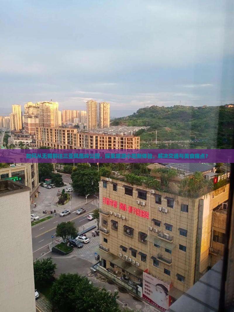 如何从无锡前往三亚凤凰岭公园，探索旅游小吃新体验，解决交通与美食痛点？